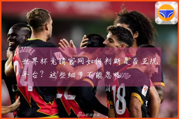 世界杯竞猜官网如何判断是否正规平台？这些细节不能忽略